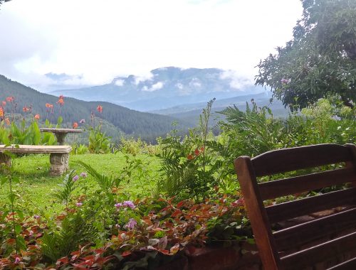 Granny Dot's Country Spot, Tzaneen