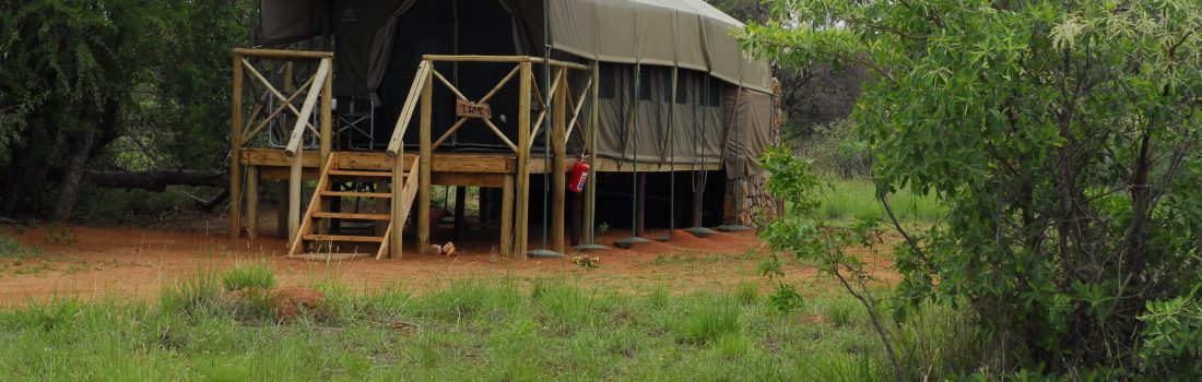 Kwafubesi Tented Safari Camp, Mabula