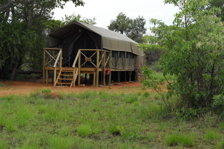 Kwafubesi Tented Safari Camp, Mabula