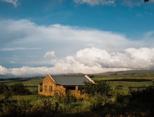 Houtenrus, Tonteldoos