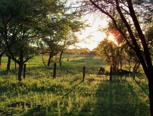 Marakele NP, Thabazimbi