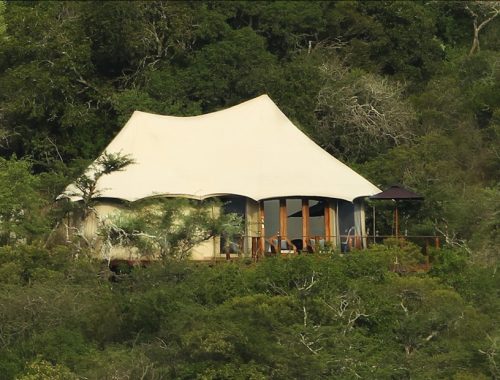 Thanda Safari Tented Camp